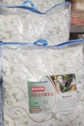 Одежда