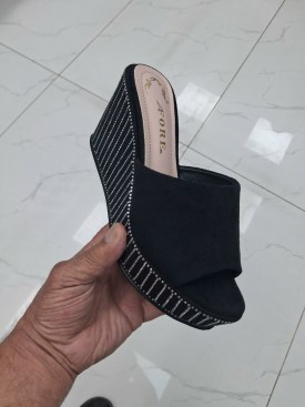 Сланцы