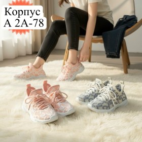Одежда