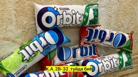 Одежда