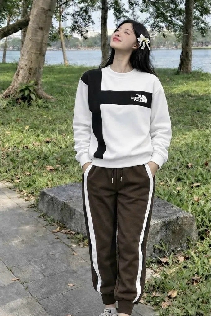 толстовка the north face,свитшот the north face,костюм спортивный the north face,кофта the north face,свитшот мужской