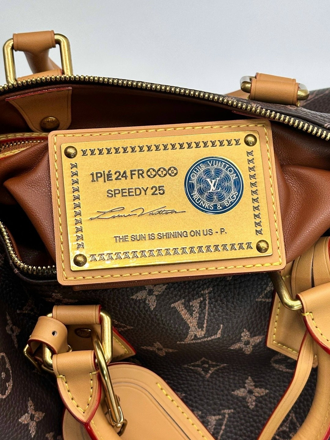 сумка женская louis vuitton,сумка louis vuitton,сумки брендовые луис вьютон,сумки брендовая,сумка луивитон женская