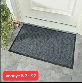 Одежда