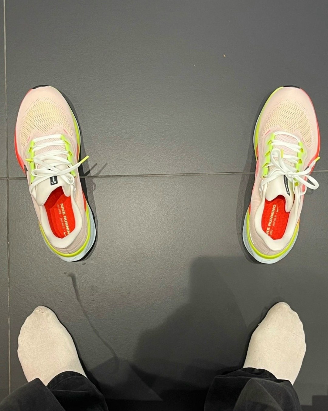 кроссовки nike air zoom pegasus,nike air zoom pegasus 41,nike air zoom pegasus,кроссовки,кроссовки nike pegasus