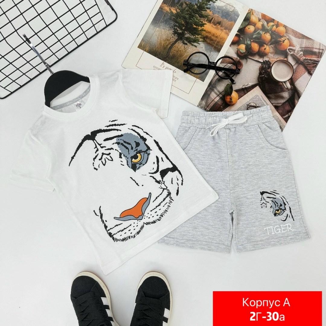 комплект одежды,костюм для мальчика футболка и шорты,комплект одежды для мальчика,комплект футболки,футболка и шорты