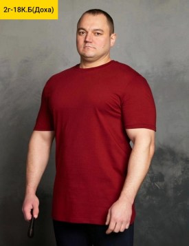 Футболка