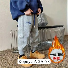 Штаны