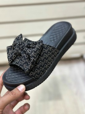 Сланцы